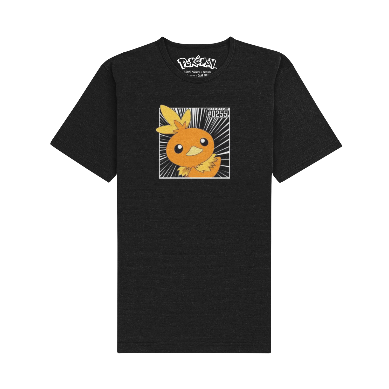 Pokemon - Torchic